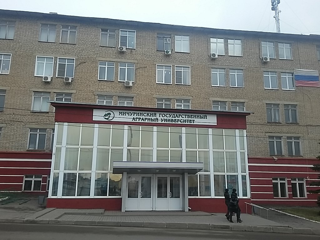 Внеучебная жизнь - сибирский федеральный университет